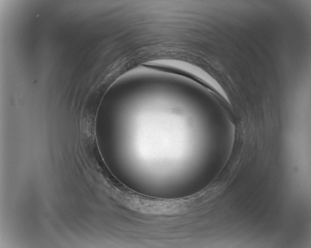 X0000079580044200612081546