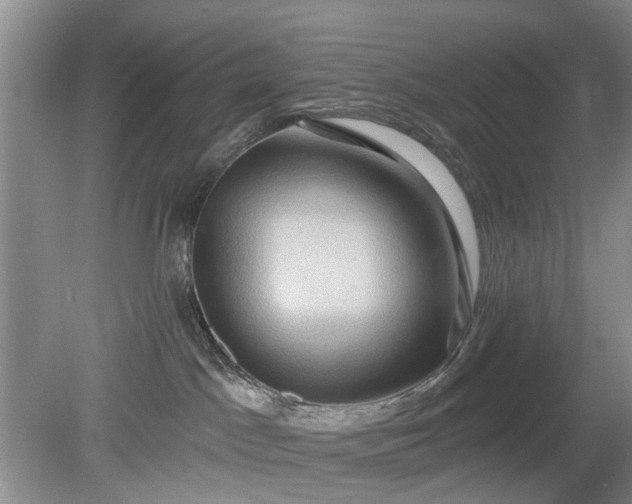 X0000079580045200612081546