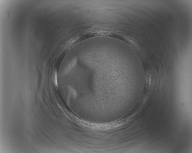 X0000079580046200612081546