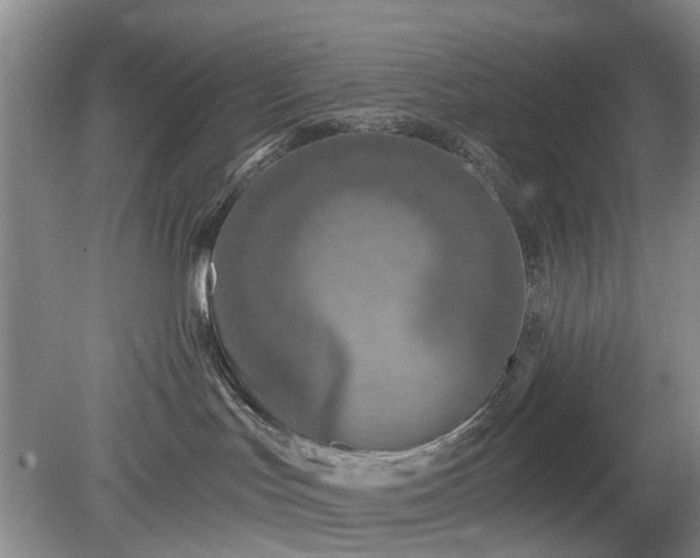X0000079580047200612081546