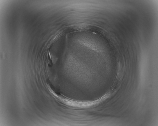 X0000079580048200612081546