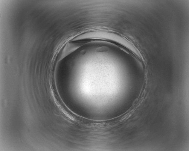X0000079580049200612081546