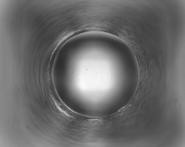 X0000079580050200612081546