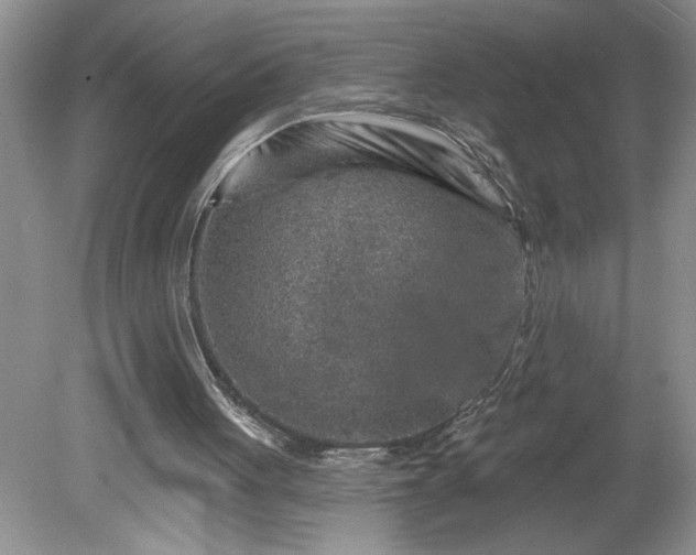 X0000079580051200612081546