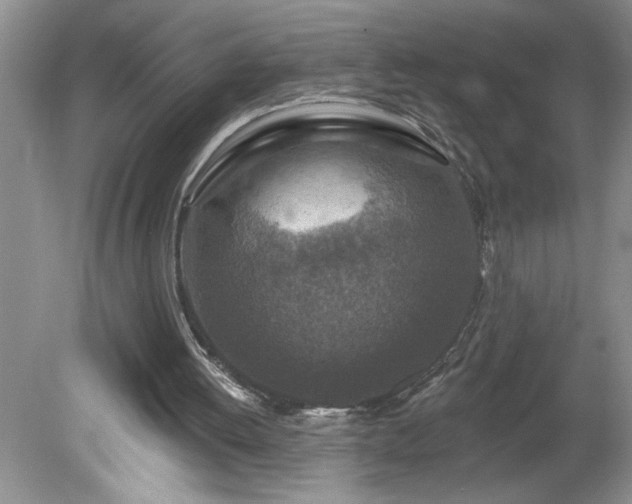 X0000079580052200612081546