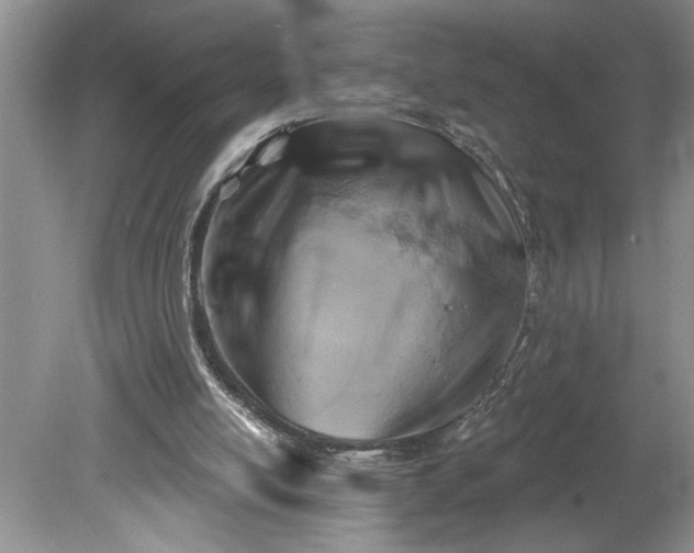 X0000079580054200612081546
