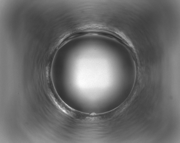 X0000079580057200612081546