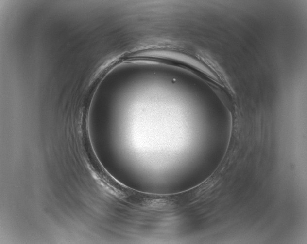 X0000079580058200612081546