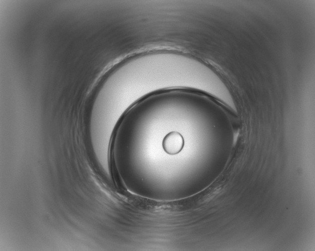 X0000079580064200612081546