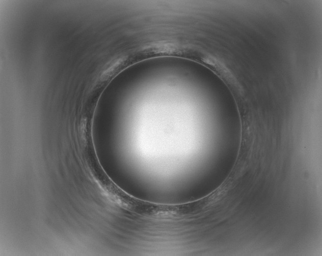 X0000079580066200612081546
