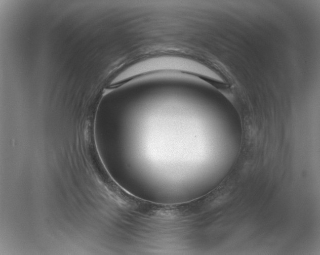 X0000079580071200612081546