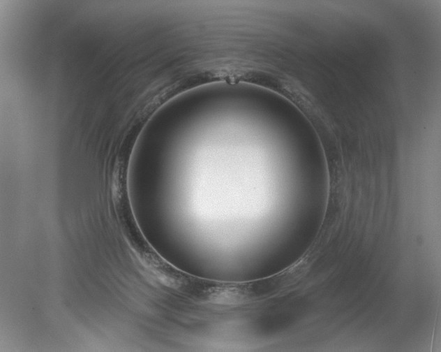 X0000079580074200612081546