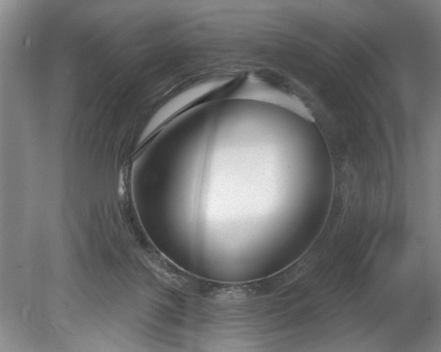 X0000079580075200612081546
