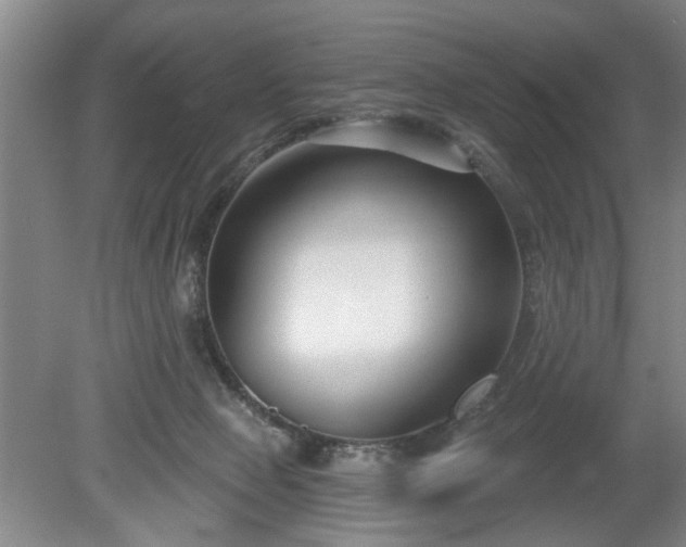 X0000079580077200612081546