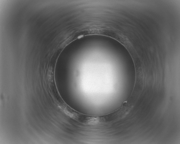 X0000079580083200612081546