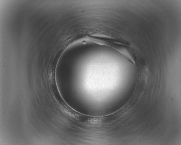 X0000079580084200612081546