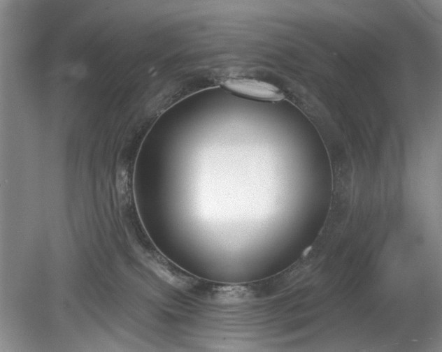X0000079580087200612081546