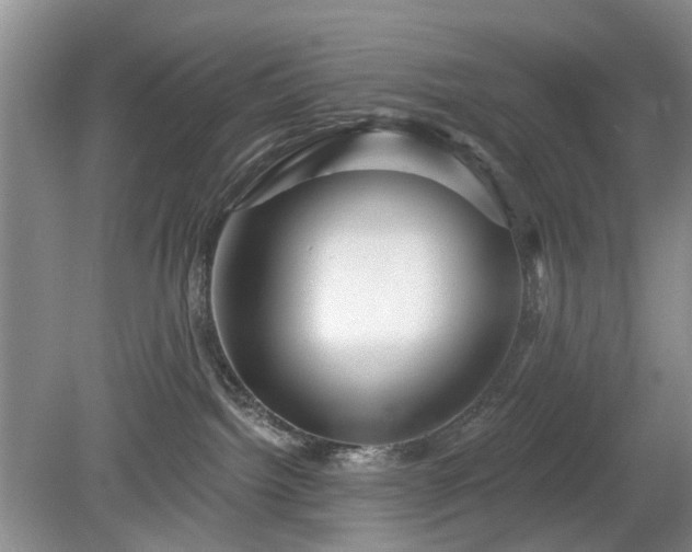 X0000079580092200612081546