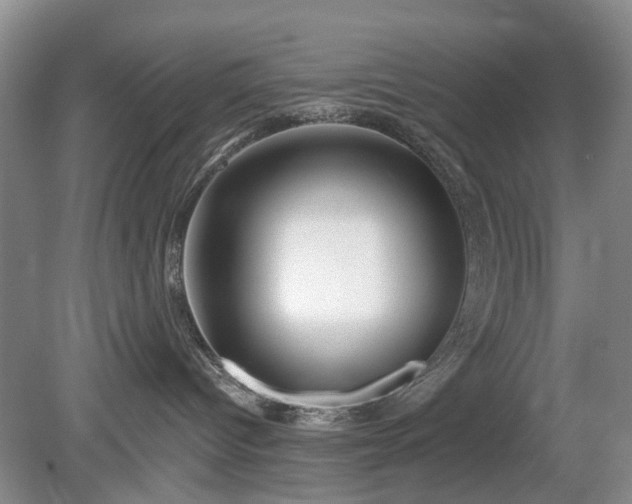 X0000079580096200612081546