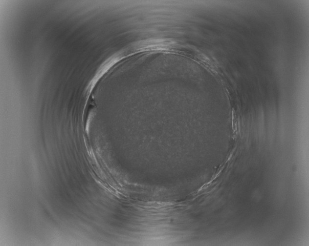 X0000079580099200612081546