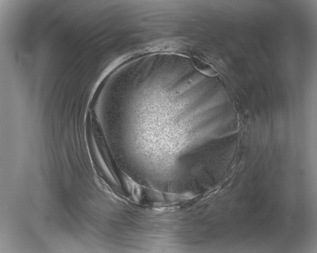 X0000079580100200612081545