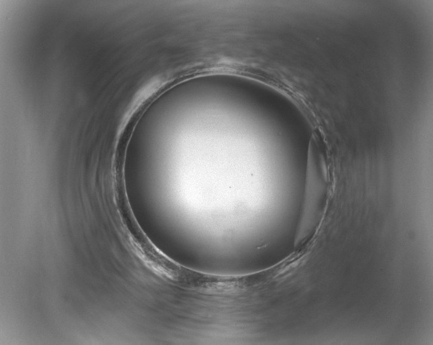 X0000079580102200612081545