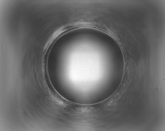 X0000079580103200612081545