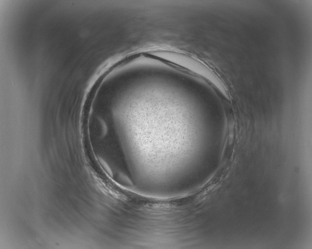 X0000079580104200612081545
