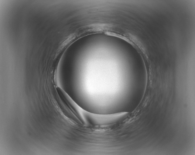 X0000079580105200612081545