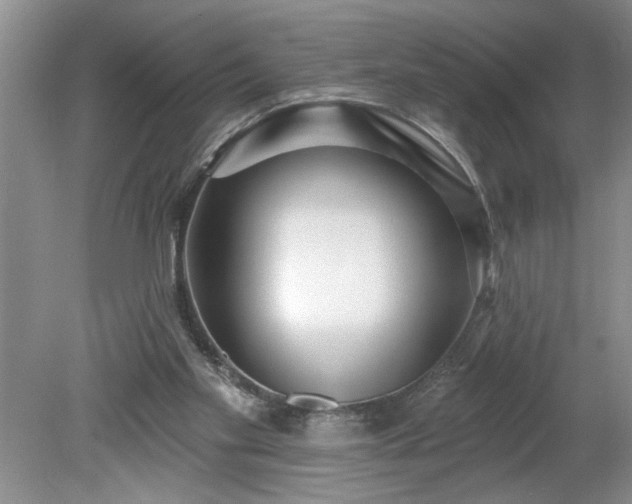 X0000079580109200612081545