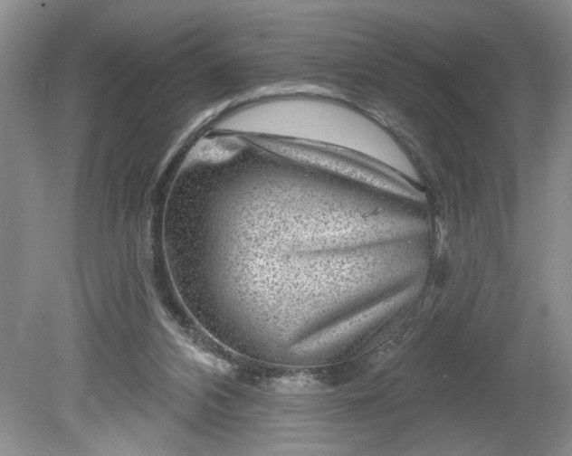 X0000079580112200612081545