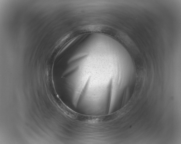 X0000079580120200612081545
