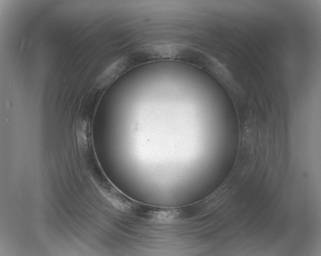 X0000079580122200612081545