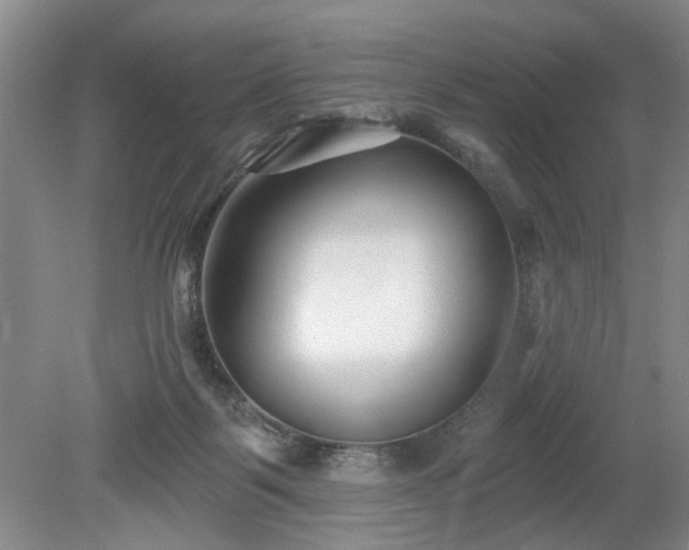 X0000079580123200612081545