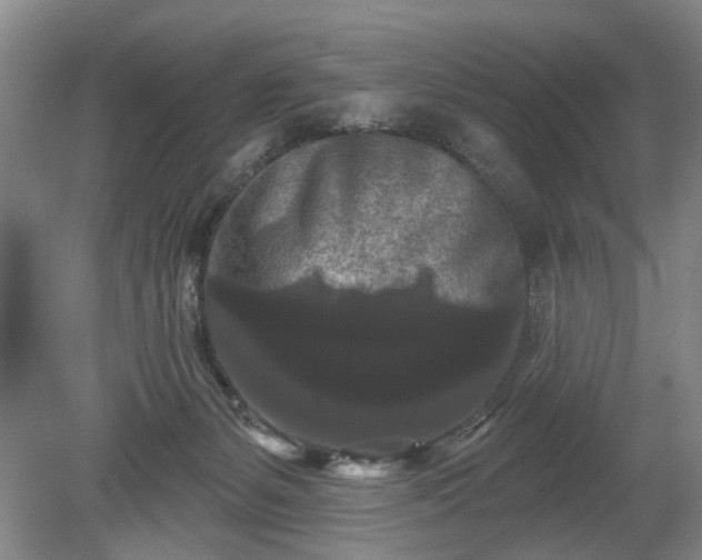X0000079580127200612081545