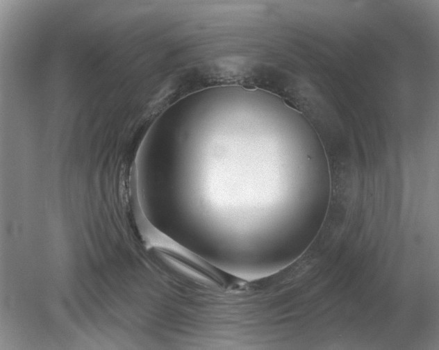 X0000079580131200612081545