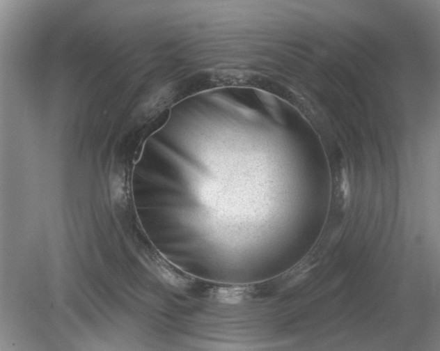 X0000079580134200612081545