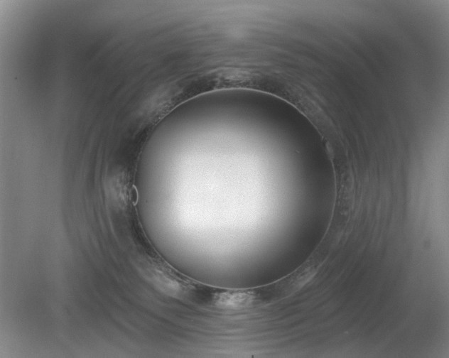 X0000079580135200612081545