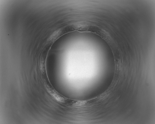 X0000079580138200612081545