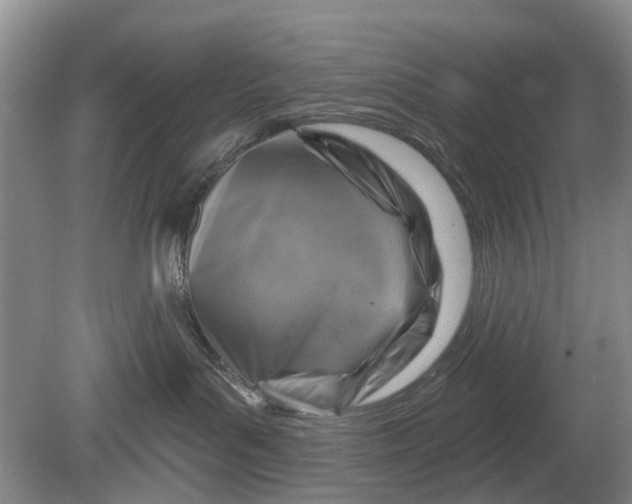 X0000079580143200612081545