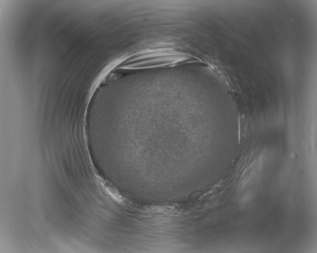 X0000079580147200612081544