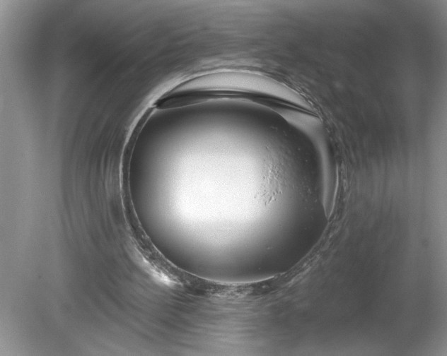 X0000079580148200612081544