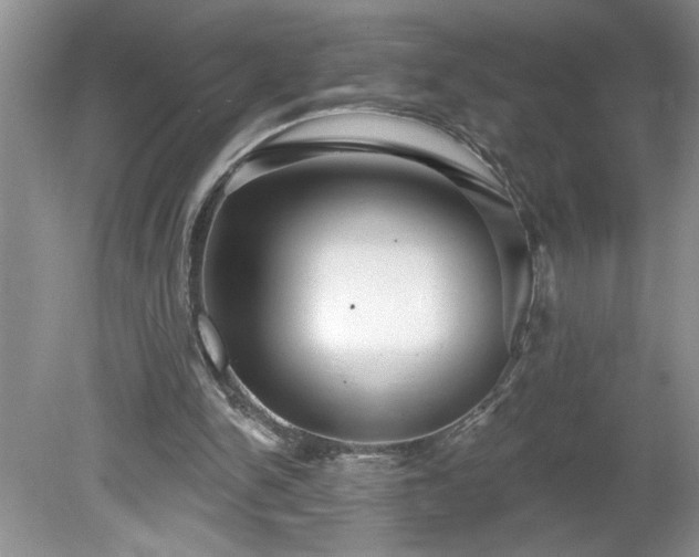 X0000079580150200612081544