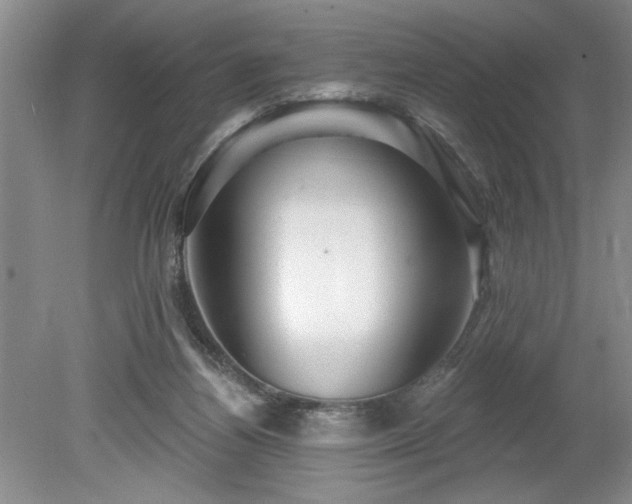 X0000079580164200612081544