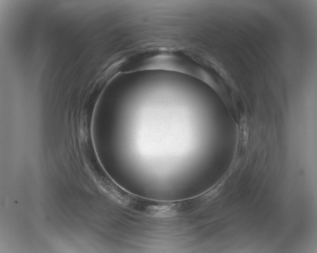 X0000079580170200612081544