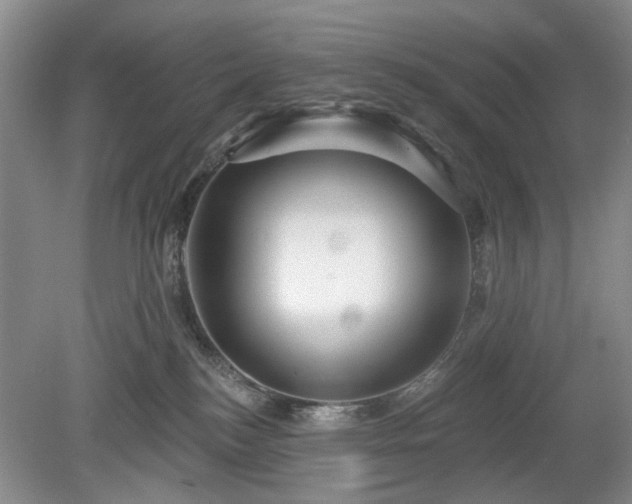 X0000079580184200612081545