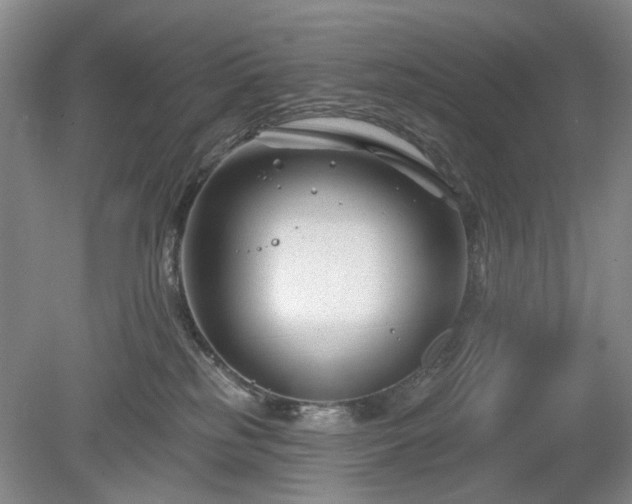 X0000079580185200612081545