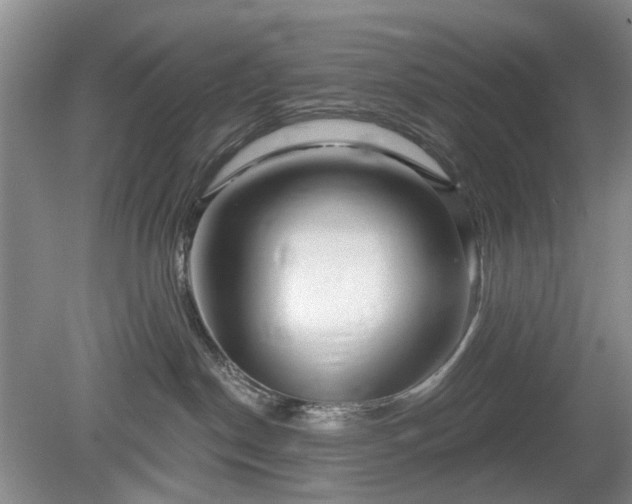 X0000079580190200612081545