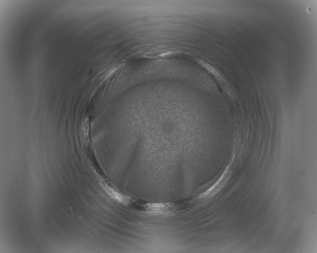 X0000079580192200612081545