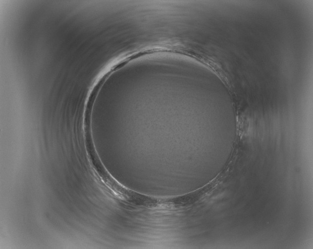 X0000079580196200612081544